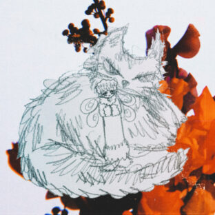 落書きプラス写真のお気に入りイラスト