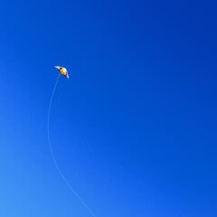 急遽「明日凧揚げしよう！」ってなって凧揚げしてきた話