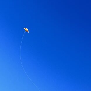 急遽「明日凧揚げしよう！」ってなって凧揚げしてきた話