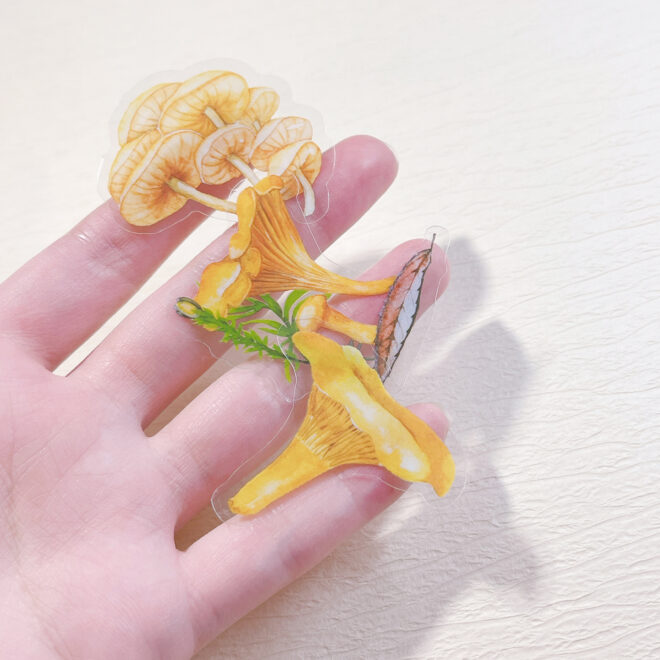 きのこのクリアシール