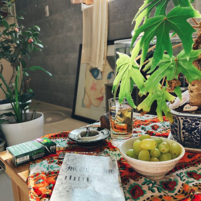 インテリア植物とぶどうの写真