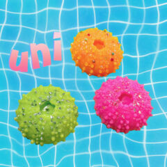 ７月たくさん遊んでエネルギー補充完了！がしかし東京暑すぎる