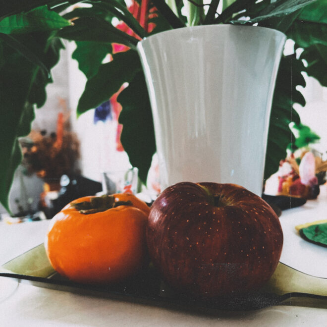 秋の果物の写真